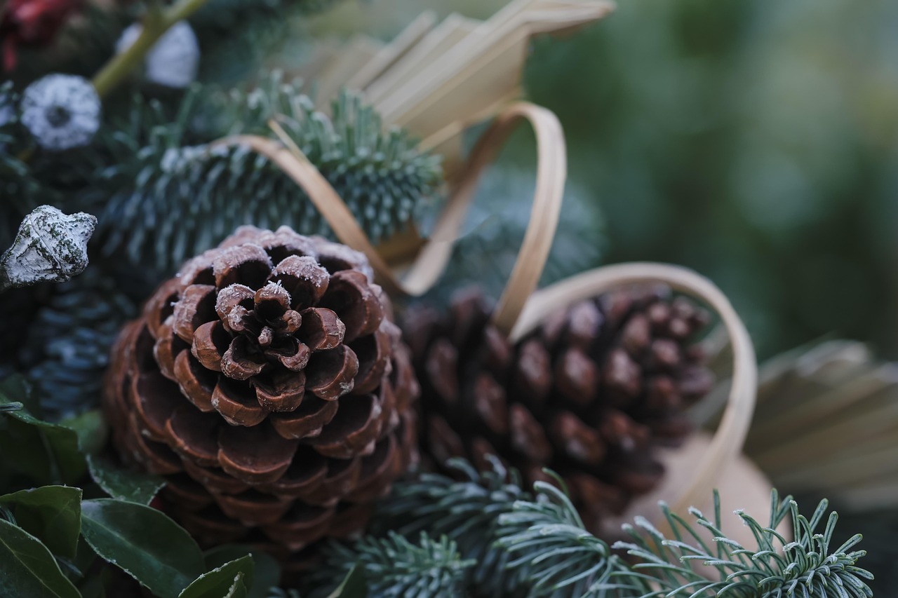 Cover: Adventsschießen und Malwettbewerb 2025